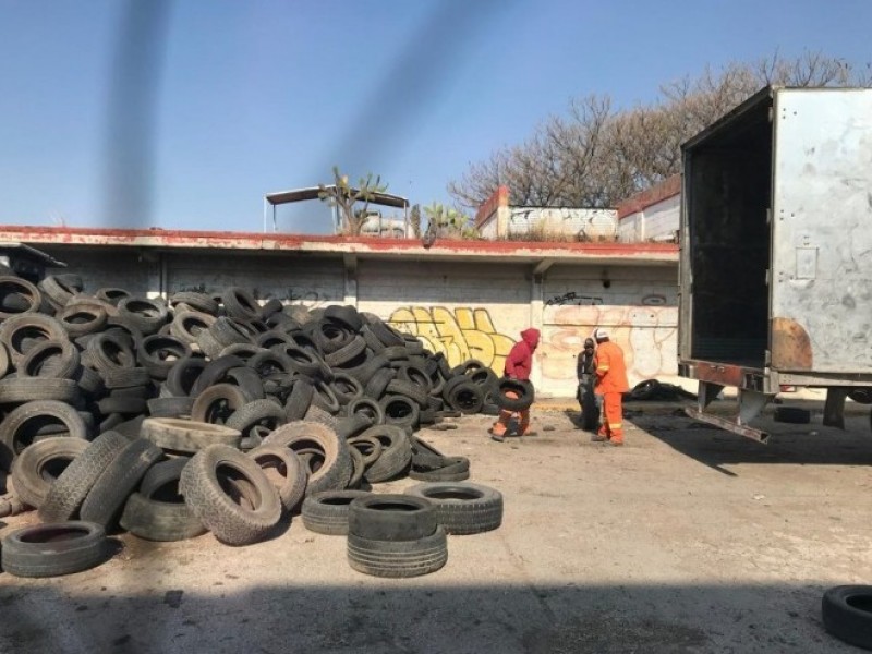 Retiran más de 450 toneladas de neumáticos fuera de uso