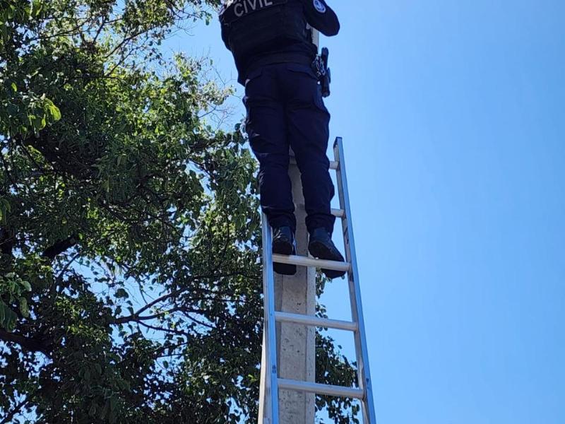 Retiran seis cámaras de vigilancia presuntamente usadas por grupos delictivos en Apatzingán