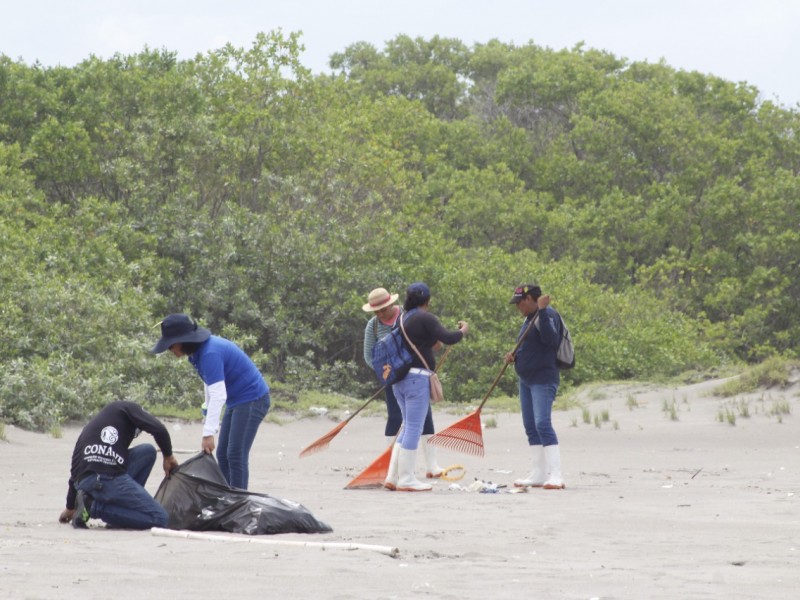 Retiran toneladas de basura de Playas de Chiapas