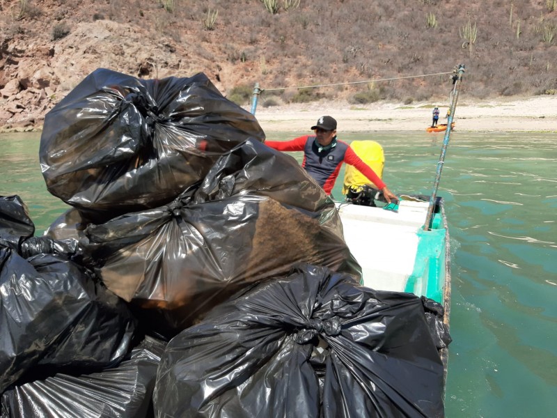 Retiran12 toneladas de basura de Bahía Catalina y Miramar