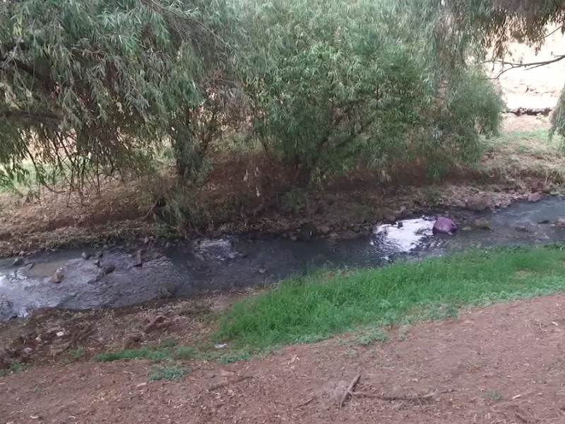 Retirarán 25 árboles del Río Chiquito