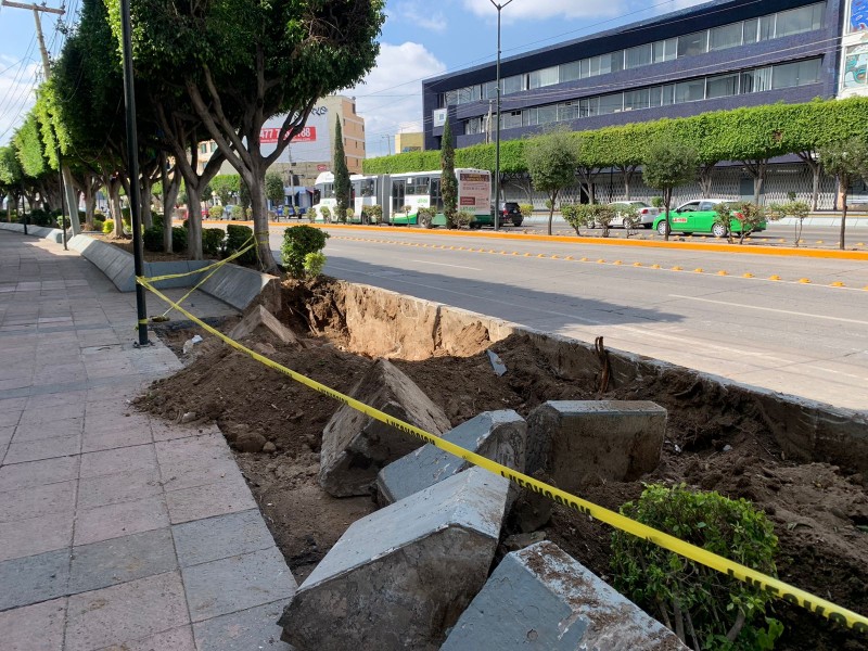 Retiro de árboles en López Mateos, tiene permiso: Municipio