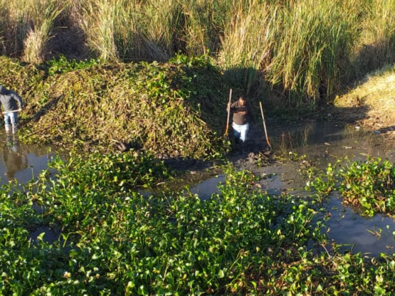 Retoman acciones de limpieza en Río Lerma