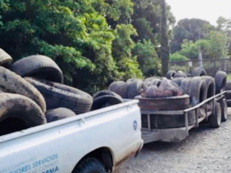 Retoman campaña de reciclaje en Álamo