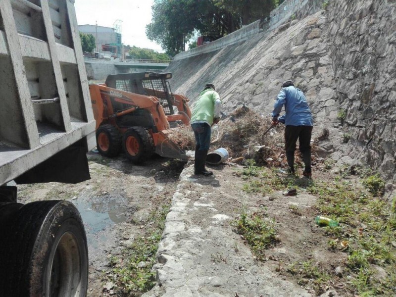 Retoman limpieza del Río Sabinal