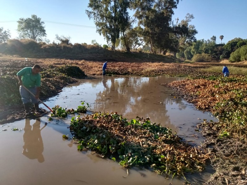 Retoman limpieza en rivera del Río Lerma