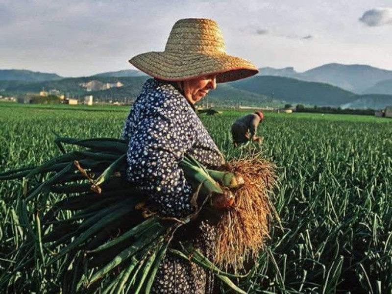 Retos que enfrenta la mujer rural en México