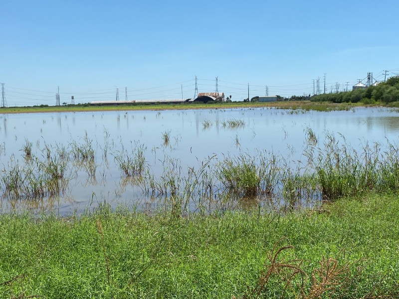 Retrasan Parque Industrial Santa Rita por obras de infraestructura
