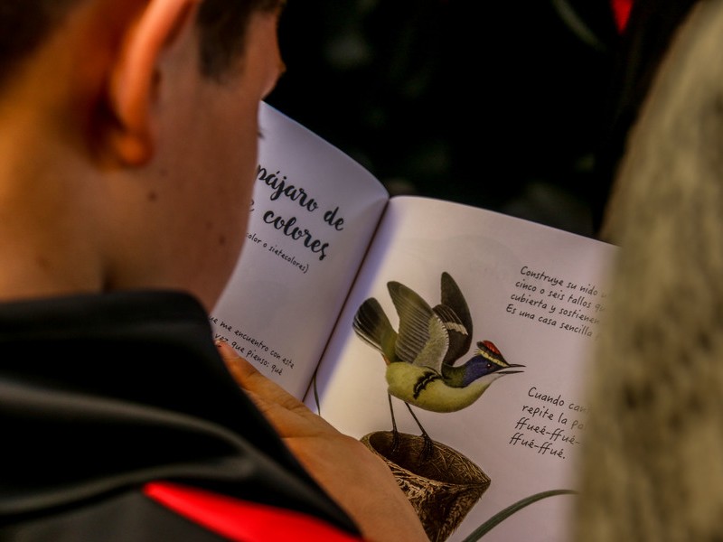 Retrasos en lectura se presente más en niños de primaria