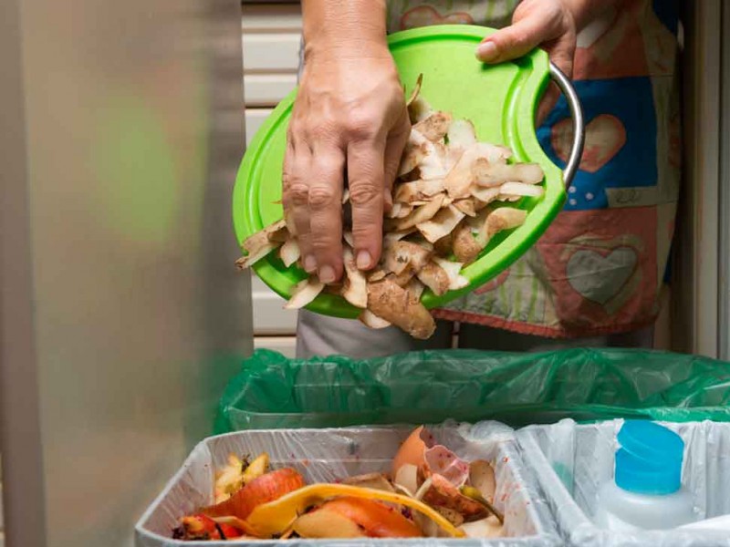 Reutilizar  alimentos una oportunidad para acabar con el hambre