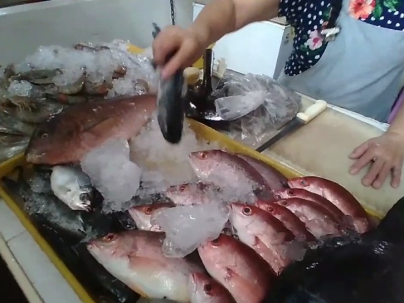 Revendedores de pescado reportan incremento al costo de mariscos