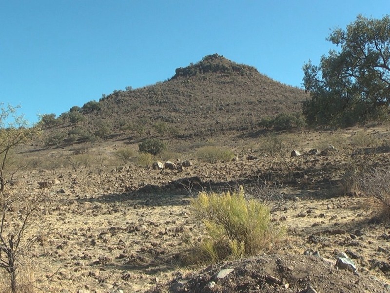 Revisarán regidores dictamen por centauro de la frontera