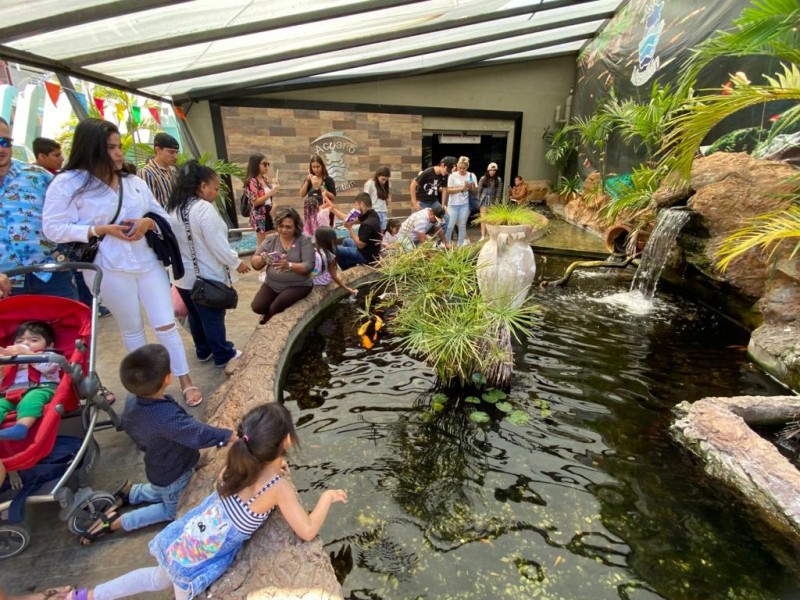 Revisión interna de Acuario Mazatlán continua pese a su cierre