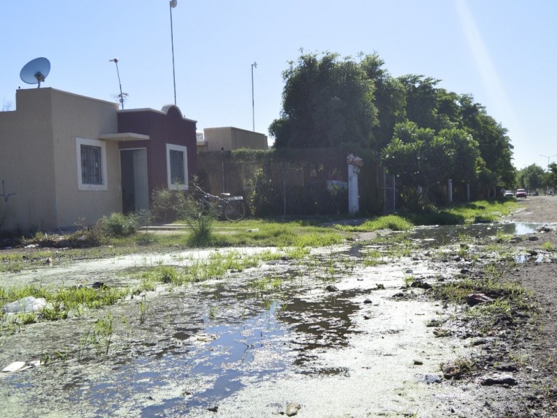 Reviven problemas por drenajes en los Arroyos de Navojoa