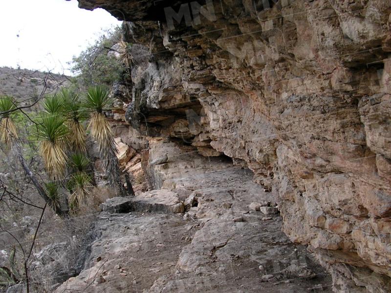 Richard MacNeish estuvo a punto de encontrar las pinturas rupestres en Tehuacán