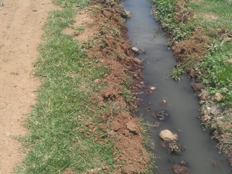 Riegan parcelas de la región Ciénega con aguas negras