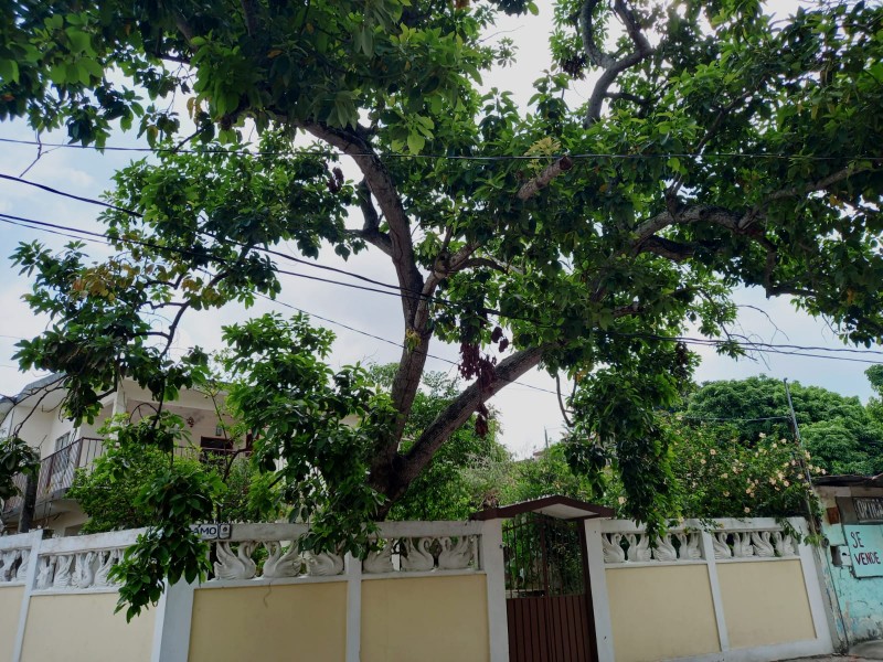 Riesgo en la Anáhuac por cables de alta tensión