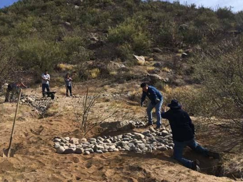 Riesgo en zona natural protegida en cerro Johnson por desmonte