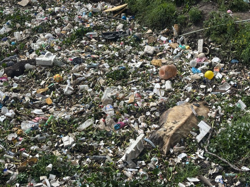 Río Lerma, un basurero, basura y restos animales convergen