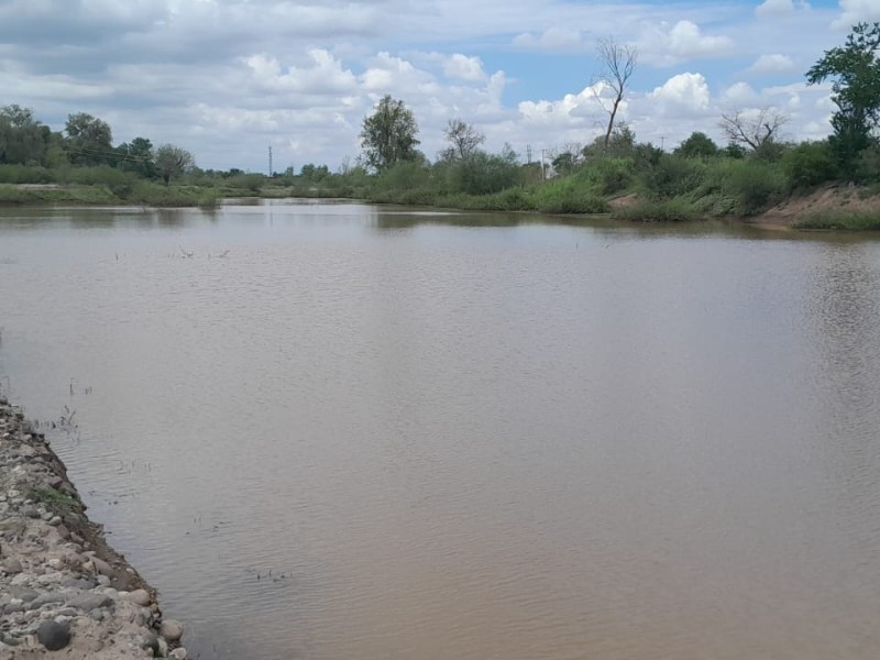 Río Mayo renace: fauna y flora regresan tras sequía