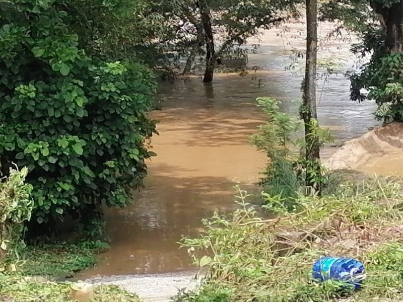 Río Tolosita sale de cause y afecta terrenos de cultivos