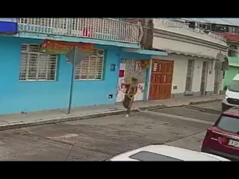 Roban barandal de guardería