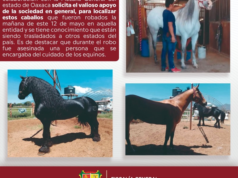 Roban caballos en Oaxaca, emiten alerta en todo el país