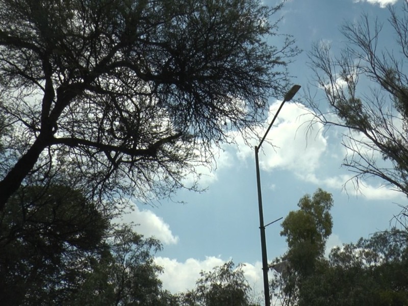 Robos de cable dejan “sin luz” al bulevar la Luz