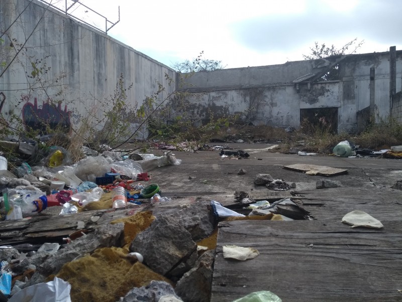 Robos en escuela por abandono de expenal