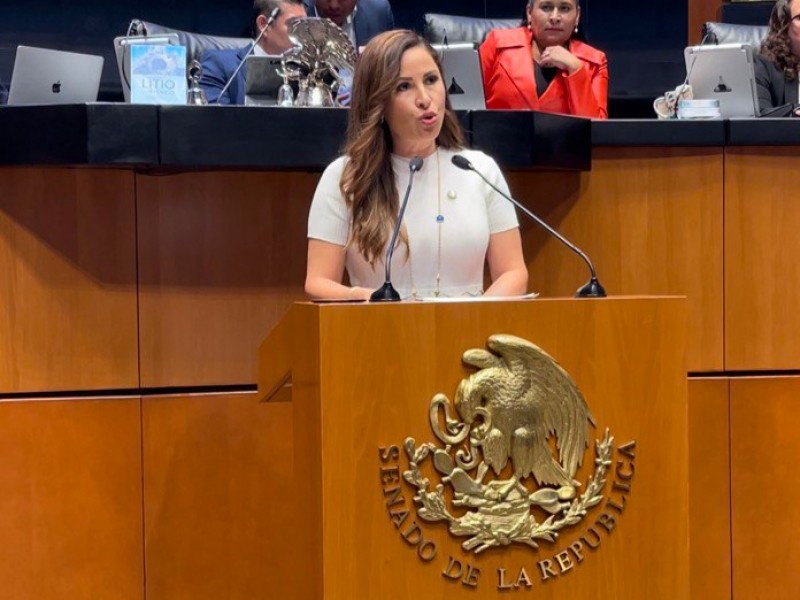 Rojas Loreto pide a MORENA no retrasar nombramientos en INAI