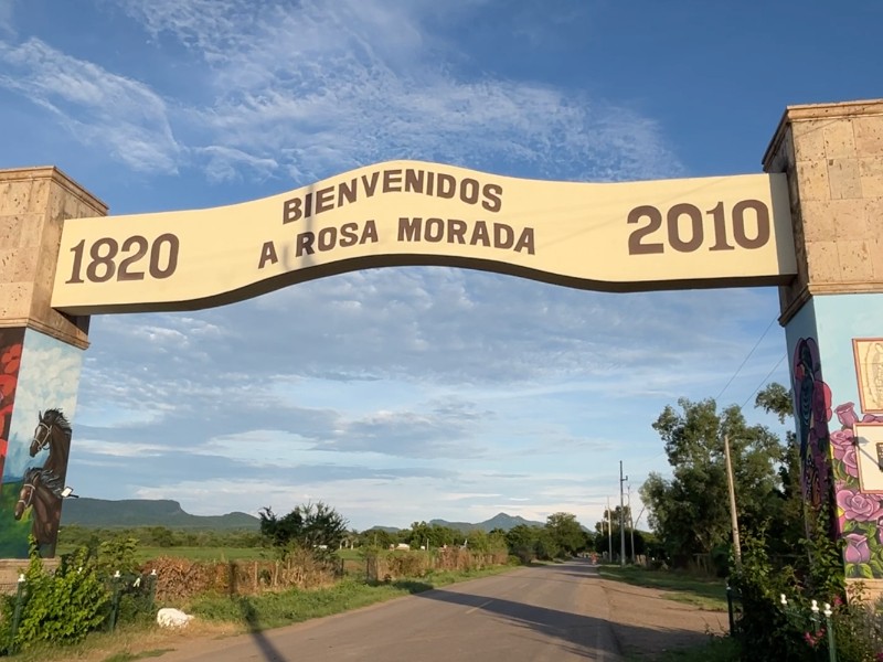 Rosa Morada: La cuna del rugido de los Tigres del Norte