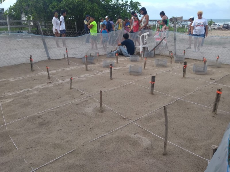 Rotarios Reunirán Fondos para Campamento Tortuguero