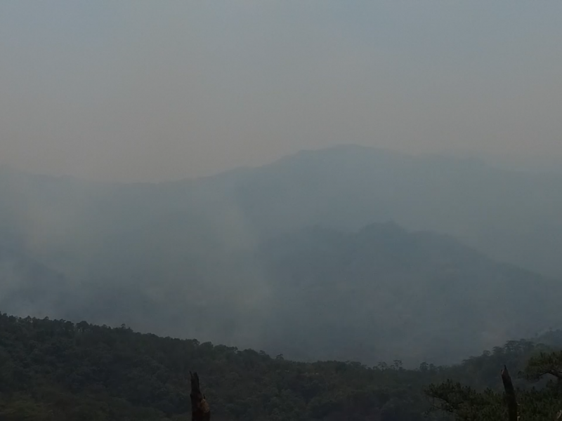 Rotura de cable de alta tensión provoca incendio