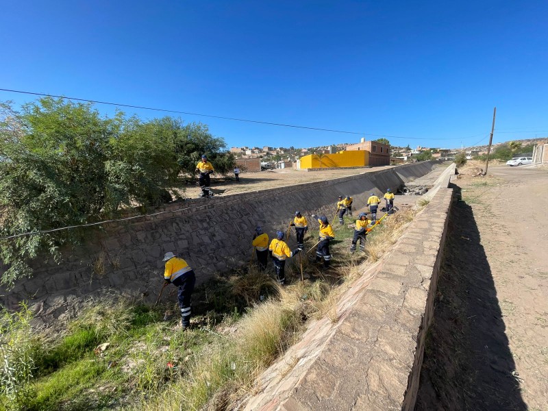 Sacan 400 toneladas de basura de arroyos en una semana