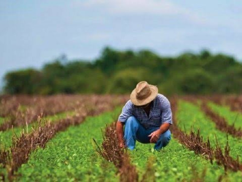 Sader Jalisco abrirá ventanillas para acceder a programas de apoyos