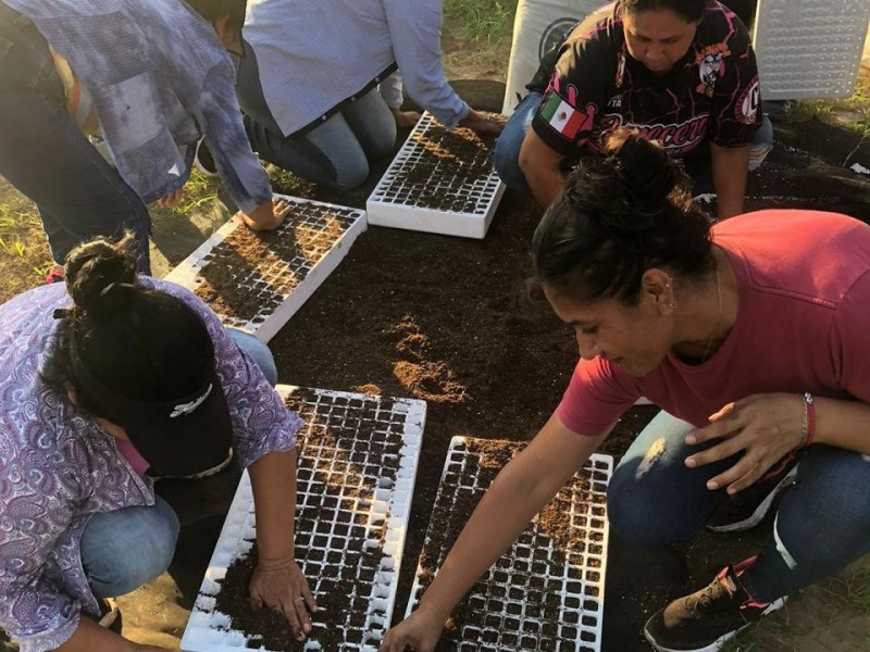 Sagarhpa forma cooperativas en zonas marginadas de Sonora