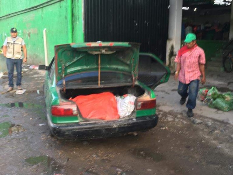 SAGARPA decomiso ganado ilegal en Chiapas