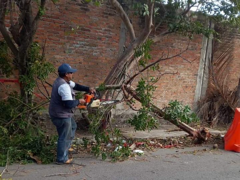 Saldo blanco por evento de norte de hasta 90km/h