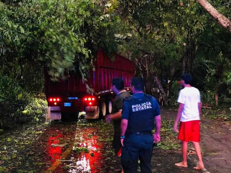 Saldo blanco y 53 árboles caídos dejó tormenta en Nayarit