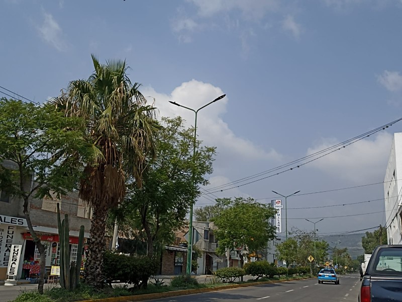 Salida en Santa María Coapan sin alumbrado, más de 15 lámparas