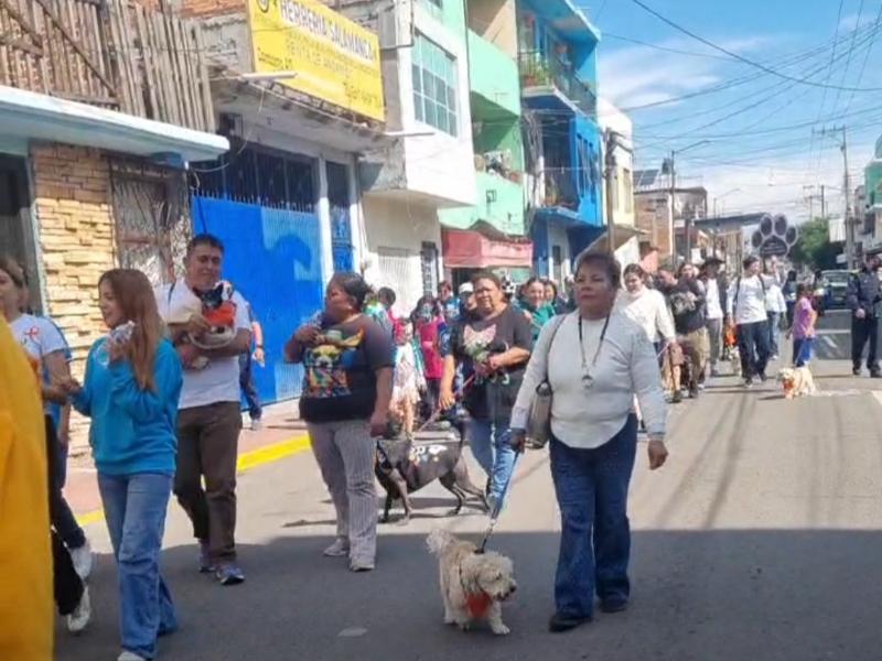 Salmantinos alzan la voz contra el maltrato y abandono animal