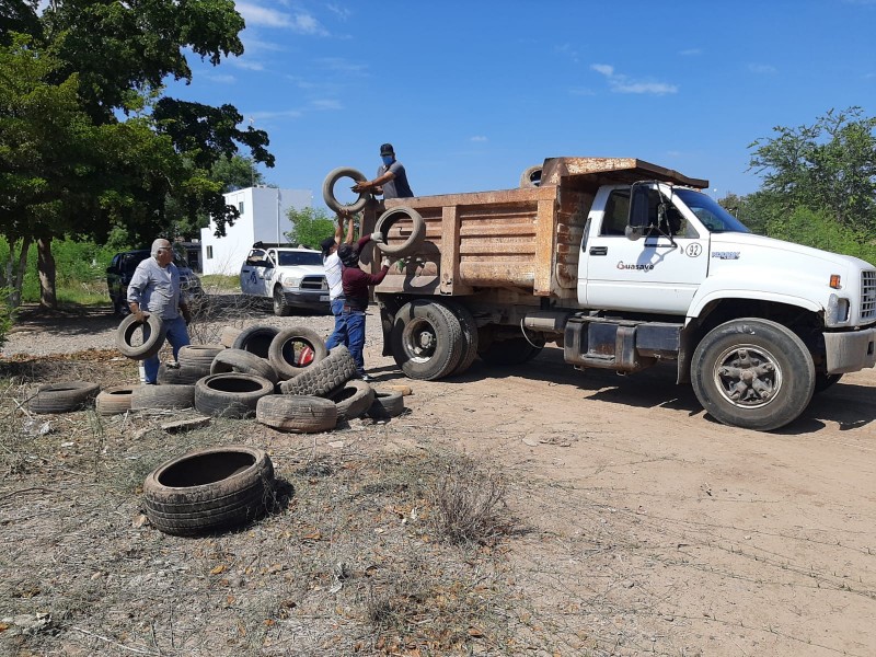 Salud en Guasave reanuda accione de descacharrización en Guasave