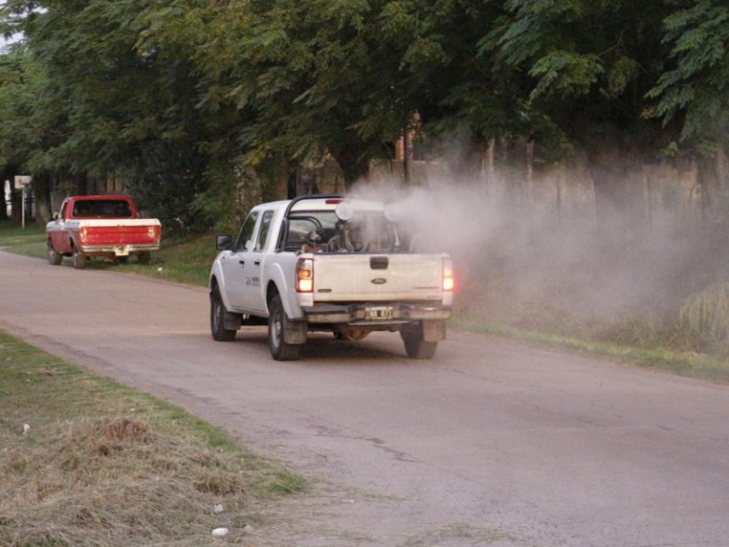 Salud protege a 515 mil habitantes contra el dengue