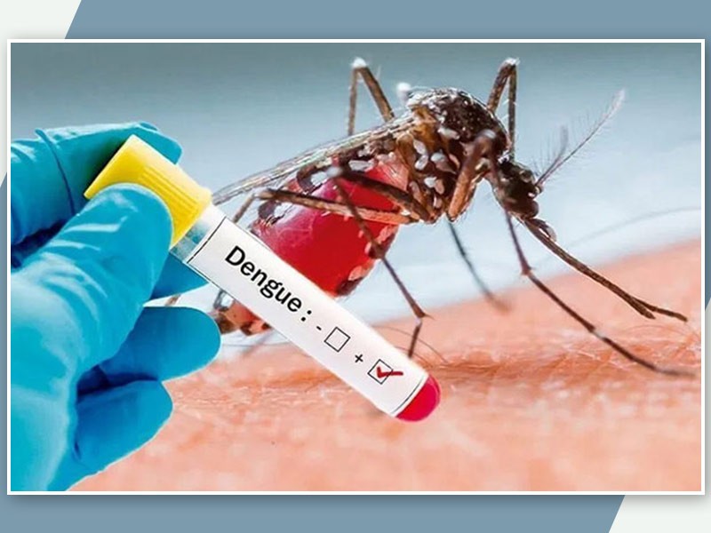 Salud Sonora llama a prevenir el dengue
