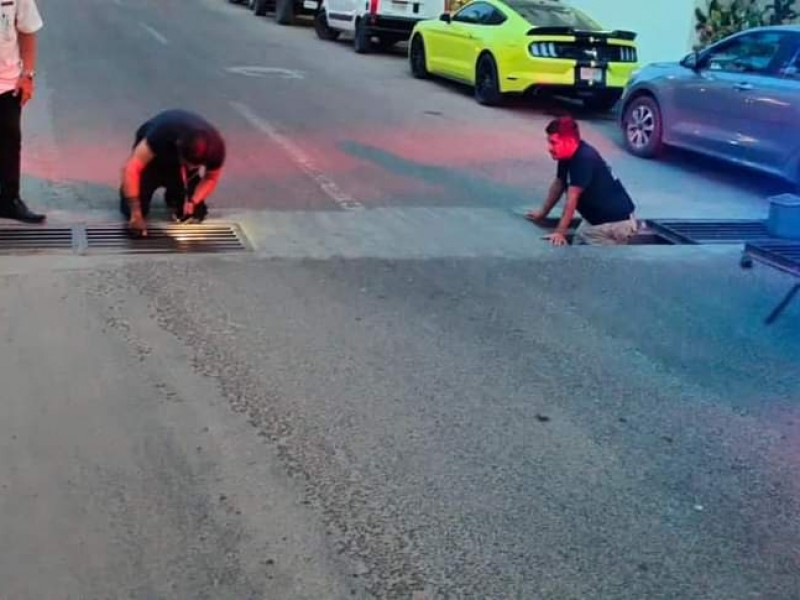 Salvan bomberos familia de patos atrapados en alcantarilla en BADEBA