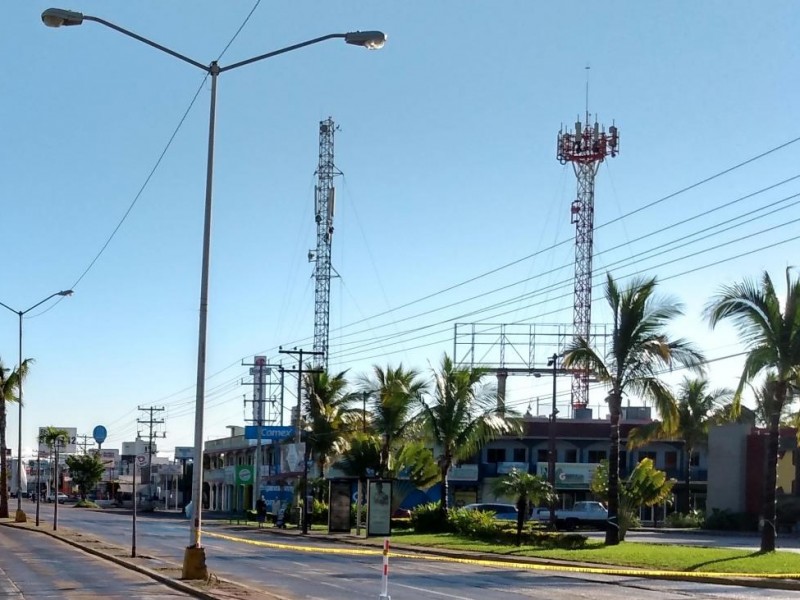 Salvarán árboles de la Rafael Buelna en Mazatlán