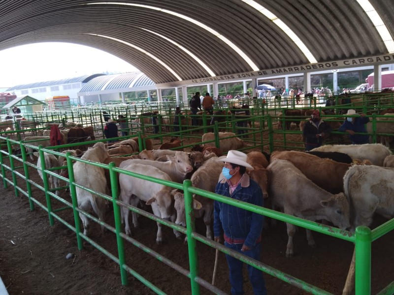 San Bernabe, mercado de animales más grande de México