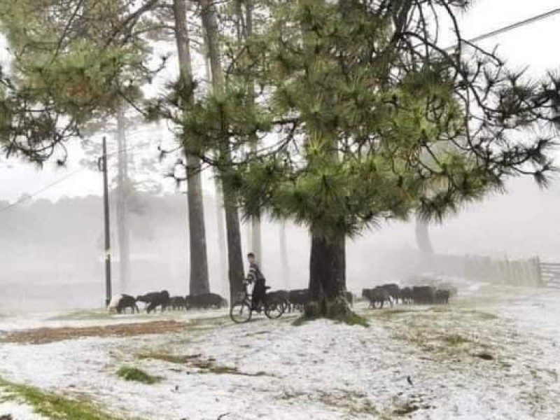 San Cristóbal registra la primera nevada de temporada invernal