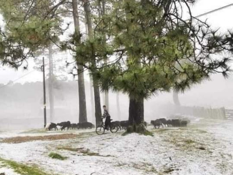 San Cristóbal registra la primera nevada de temporada invernal |  MEGANOTICIAS