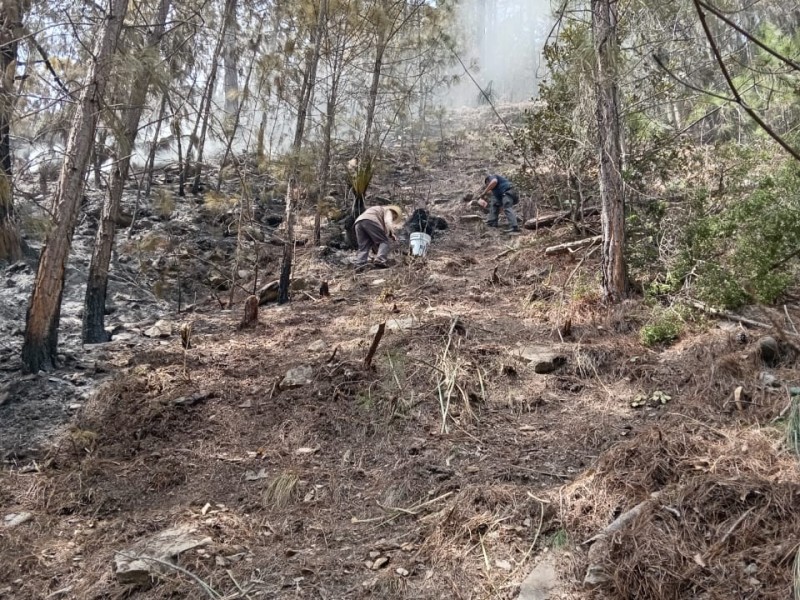 San Felipe pide ayuda para controlar un incendio forestal